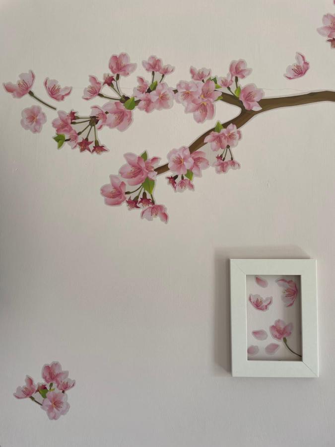 B&B La Nonnina Del Cilento กาซัลเวลิโน ภายนอก รูปภาพ