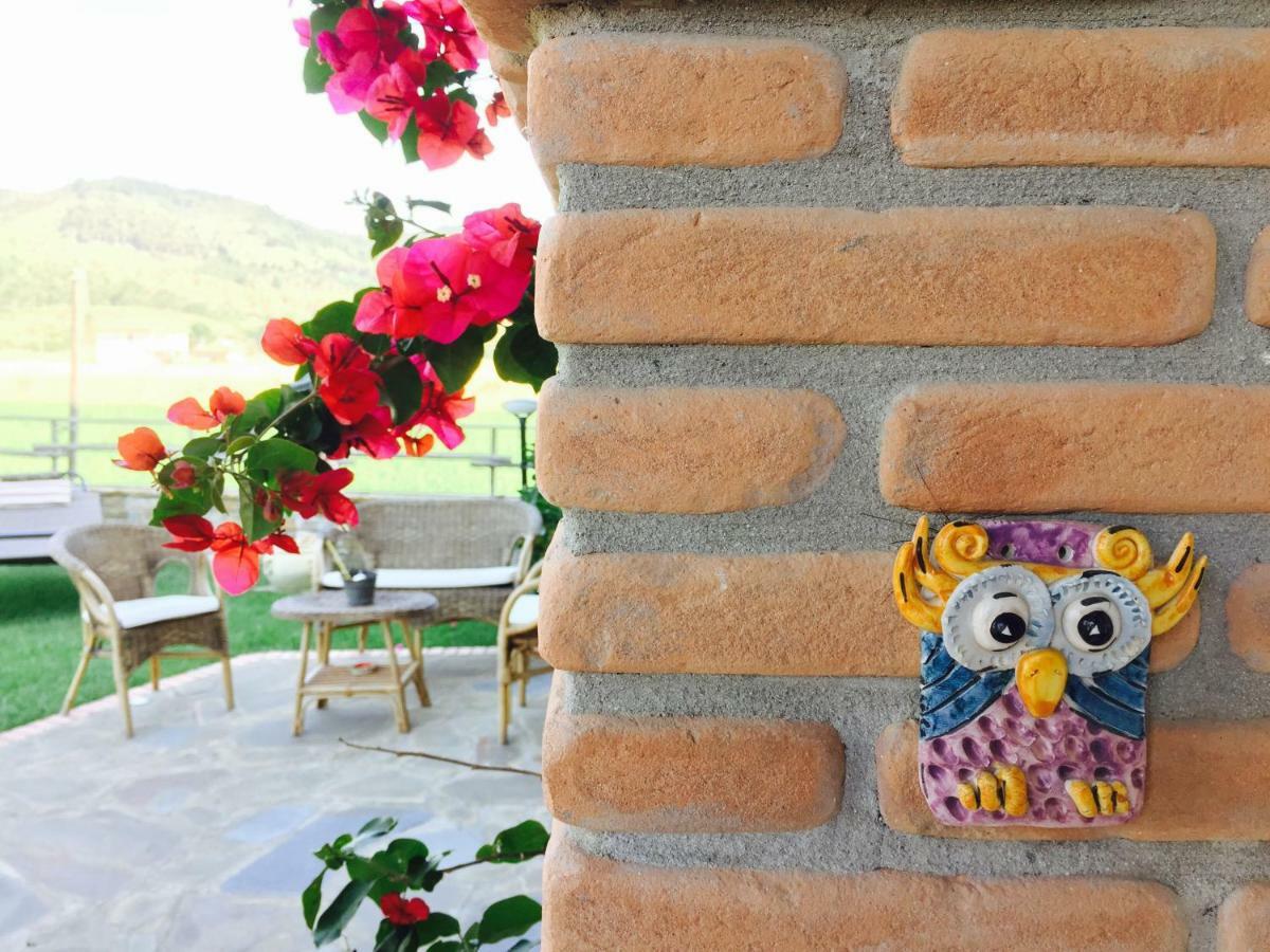 B&B La Nonnina Del Cilento กาซัลเวลิโน ภายนอก รูปภาพ