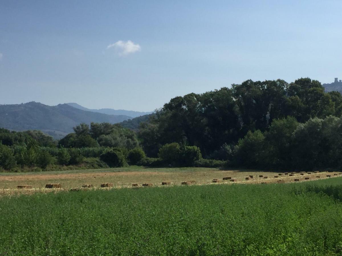 B&B La Nonnina Del Cilento กาซัลเวลิโน ภายนอก รูปภาพ