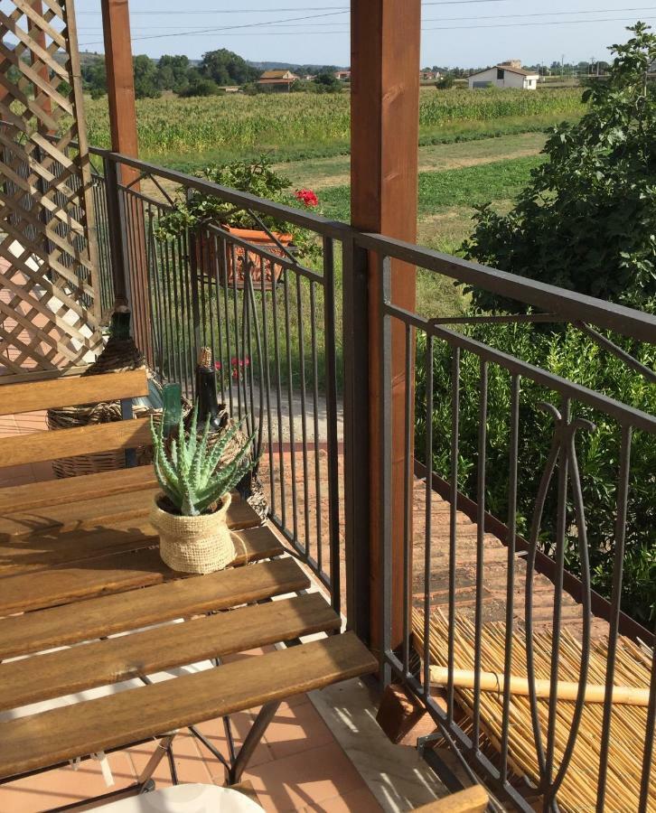 B&B La Nonnina Del Cilento กาซัลเวลิโน ภายนอก รูปภาพ