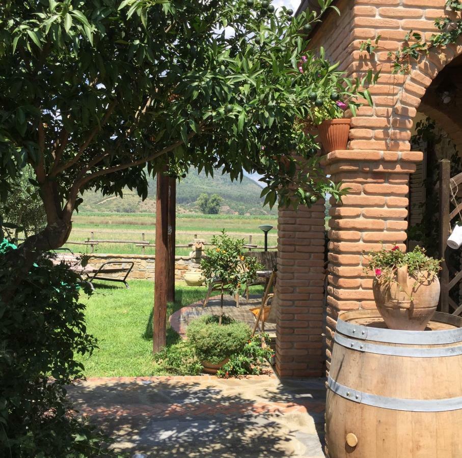 B&B La Nonnina Del Cilento กาซัลเวลิโน ภายนอก รูปภาพ